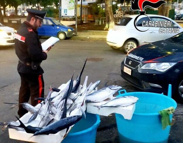 Catania, vendeva pesce sotto taglia: sanzionato il venditore. Merce in beneficenza