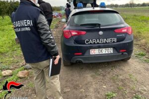 Paternò, controlli anticaporalato nelle aziende agricole: denunciato e sanzionato 57enne di Lentini