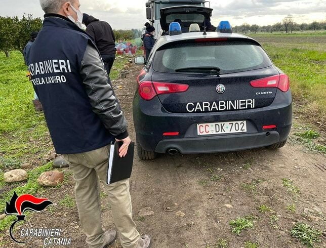 Paternò, controlli anticaporalato nelle aziende agricole: denunciato e sanzionato 57enne di Lentini