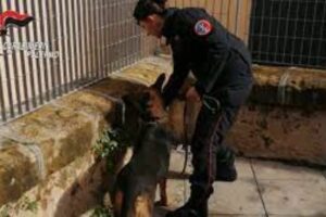 Palermo, spaccio di droga davanti alla scuola: 12 persone arrestate. Giro d’affari di 500 mila euro l’anno