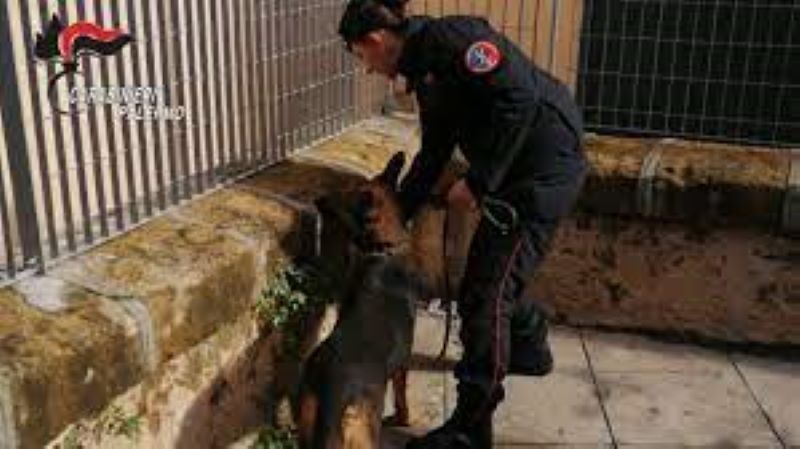 Palermo, spaccio di droga davanti alla scuola: 12 persone arrestate. Giro d’affari di 500 mila euro l’anno