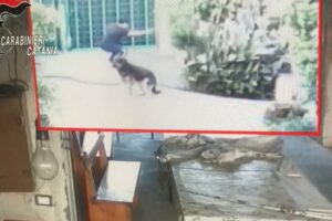 Palagonia, assessore arrestato per un omicidio del 2017: “Si adoperò per il reperimento del killer” (VIDEO)