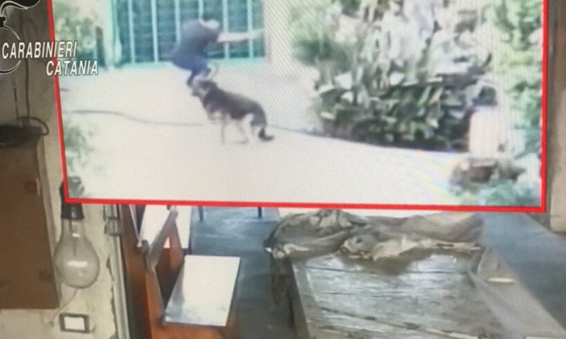 Palagonia, assessore arrestato per un omicidio del 2017: “Si adoperò per il reperimento del killer” (VIDEO)