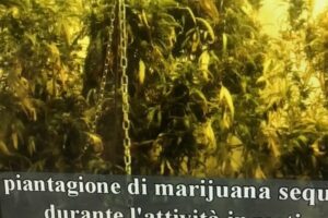 Ramacca e Palagonia, 15 misure cautelari per traffico di droga: ruolo principale per un fratello e una sorella (VIDEO)