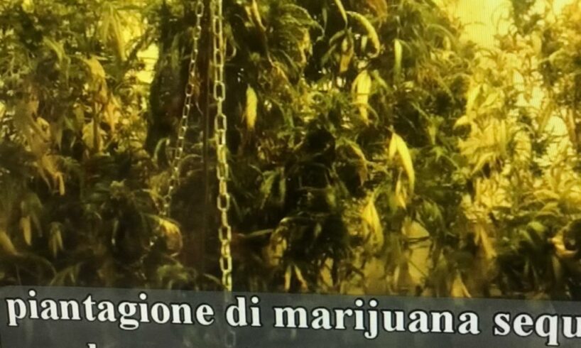 Ramacca e Palagonia, 15 misure cautelari per traffico di droga: ruolo principale per un fratello e una sorella (VIDEO)