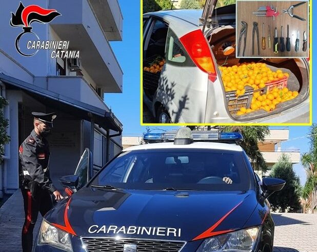 Ramacca, nel bagagliaio dell’auto 150 kg di mandarini rubati: denunciato 42enne di Palagonia