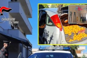 Ramacca, nel bagagliaio dell’auto 150 kg di mandarini rubati: denunciato 42enne di Palagonia