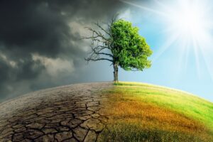 Transizione, governare lo spazio in cui tutto è metamorfosi