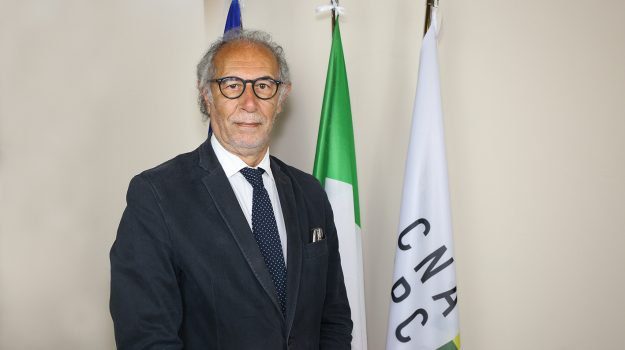 Prende sempre più quota nel centrosinistra la candidatura del presidente nazionale dell'Ordine degli architetti Franco Miceli a Palermo.