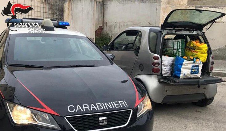 Paternò, quanta ‘passione’ per le arance rubate: oltre 650 kg di tarocco nascoste dentro due auto. Denunciate 4 persone