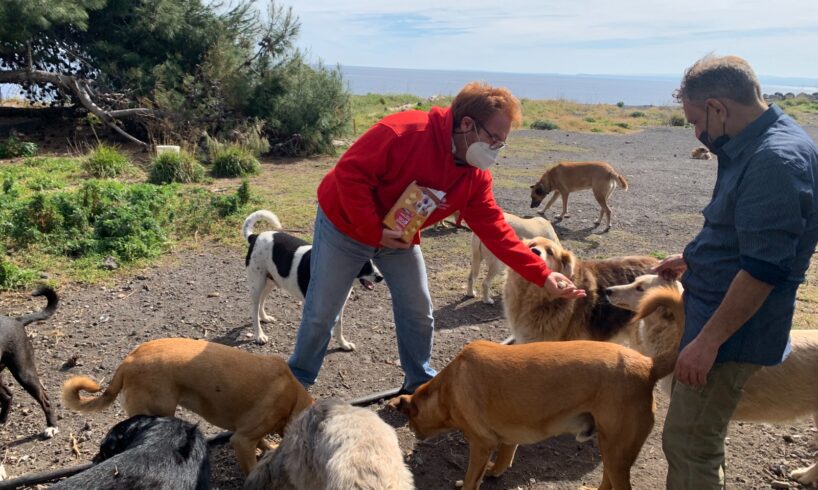 Catania, Caritas attiva collaborazione con associazioni animaliste per favorire l’accoglienza dei ‘senza dimora’ con cani e gatti