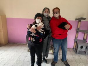 Catania, Caritas attiva collaborazione con associazioni animaliste per favorire l’accoglienza dei ‘senza dimora’ con cani e gatti