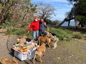 Catania, Caritas attiva collaborazione con associazioni animaliste per favorire l’accoglienza dei ‘senza dimora’ con cani e gatti