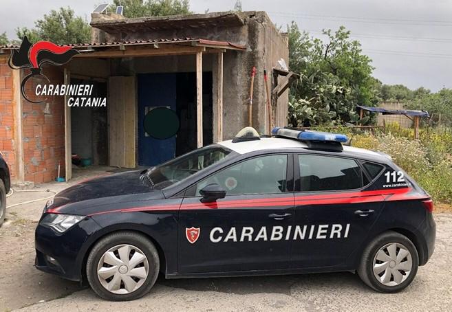 Paternó, corse clandestine: 3 cavalli, armi e munizioni sequestrati in un fabbricato rurale. Denunciato 31enne (VIDEO)