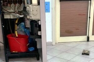 Paternò, ladri nel centro vaccinale ‘Nonno per amico’: svuotate le casse dei distributori di caffè e snack
