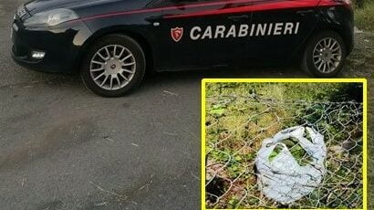 Riposto, 55enne ruba 80 kg di avocadi in una piantagione: arrestato in flagranza
