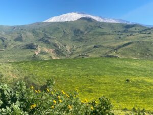 Centuripe, scoperto a Carcaci insediamento preistorico: nove tombe a camerta scavate nella roccia