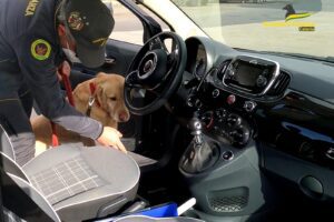Catania, tonnellate di droga dall’Albania e kalashnikov sotto sequestro: 5 ordini di carcerazione (VIDEO)