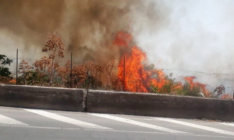 Paternò, incendio in area incolta lungo la strada dei Pioppi: timori per un supermercato e per complesso residenziale (VIDEO)