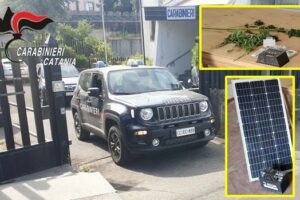 Belpasso, 8 piante di marijuana e una serra vuota per coltivarla: denunciato 28enne