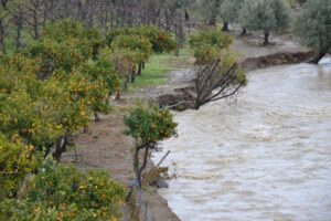 Bronte, appello di Firrarello per salvare il Simeto: “Contratto di fiume e diga di Bolo sono buoni strumenti”
