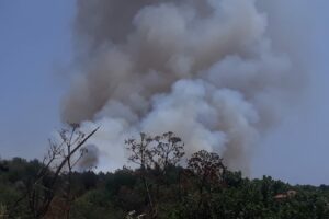 Parco dell’Etna: incendi nei territori di Paternò, Belpasso e S. M. di Licodia. A Ragalna evacuate alcune abitazioni