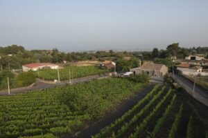 Pedara, al ‘Vineyard Music Festival’ 5 eventi sonori con i vini e le bontà gastronomiche siciliane: fino al 23