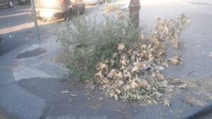 Paternò, lo scempio di Piazza Vittorio Veneto: rifiuti, mobili abbandonati e nessuno fa niente