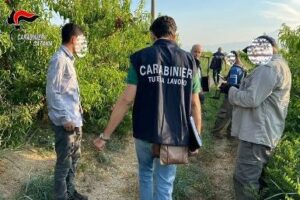 Ragalna, 4 lavoratori marocchini sfruttati dal ‘principale’: turni massacranti per 200 euro al mese. Imprenditore denunciato