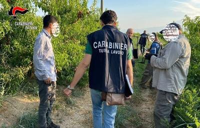 Ragalna, 4 lavoratori marocchini sfruttati dal ‘principale’: turni massacranti per 200 euro al mese. Imprenditore denunciato
