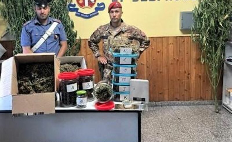 Belpasso, coltivava erba pregiata in casa: 45enne arrestato in flagranza