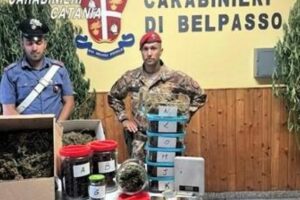 Belpasso, coltivava erba pregiata in casa: 45enne arrestato in flagranza