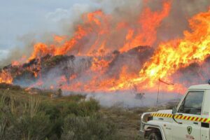 Sicilia, bollino rosso in 6 province per rischio incendi: allerta gialla per ondate di calore