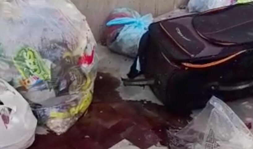 Vittoria, incivili abbandonano in pieno centro valigia con viscere di animali: FdI denuncia emergenza sanitaria