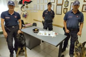 Fiumefreddo, ‘spaccio dolce spaccio’: i cani antidroga King e Riley scoprono rivendita di droga casalinga