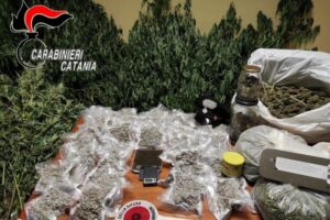 Caltagirone, 42enne libero professionista e ‘coltivatore’ di canapa indiana: quasi 6 kg di droga nella casa di c.da Piano Lupo