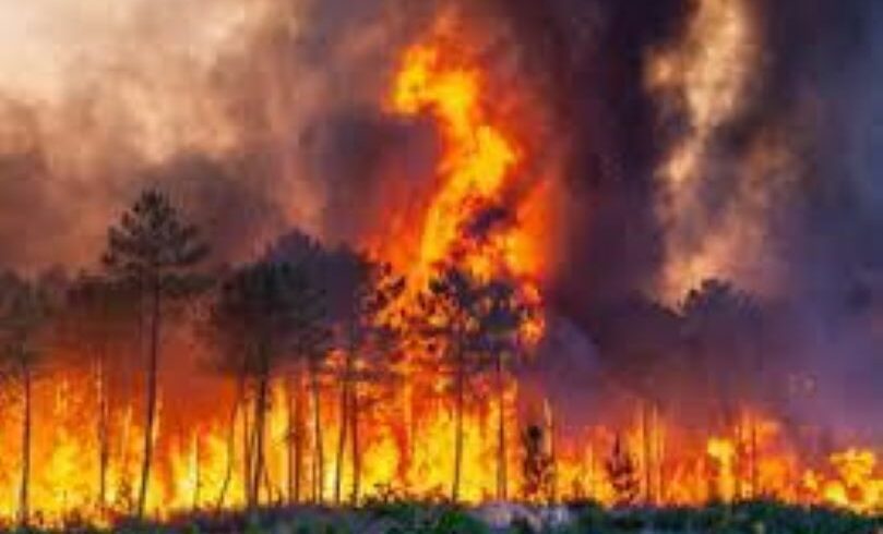 Incendi, nel Catanese 15 interventi dei Vigili del Fuoco. Palmeri (Europa Verde): “Strumenti inadeguati per contrastare i roghi”