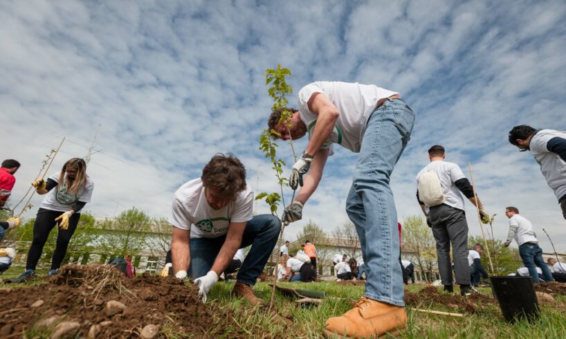Catania, 5 mln dalla Città metropolitana per piantare alberi e riforestare aree urbane marginali