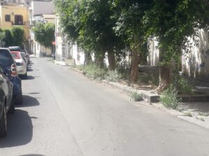 Paternò, degrado nel centro storico: due piazze una via invase da erbacce e rifiuti