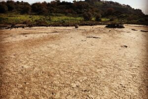 Paternò, il Pug mancante: l’area “Garaffo” e la grottesca tela di Penelope