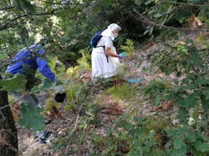 Biancavilla, i volontari di “Laudato sì” ripuliscono il bosco di Viale del Castagno: raccolti quintali di rifiuti