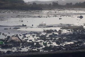 Paternò, Plastic Free pulisce le Salinelle: sabato per il “Sea & River Day” in 200 città italiane