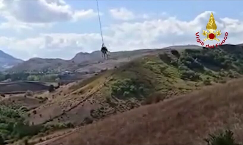 Mucca cade in una scarpata a Castronovo di Sicilia: recuperata grazie a un elicottero dei Vigili del fuoco