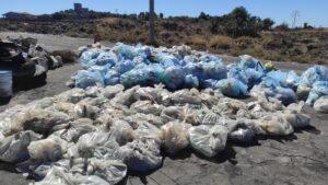Paternò, i volontari di Plastic Free ripuliscono le Salinelle dello Stadio: raccolti quasi 300 sacchi di rifiuti