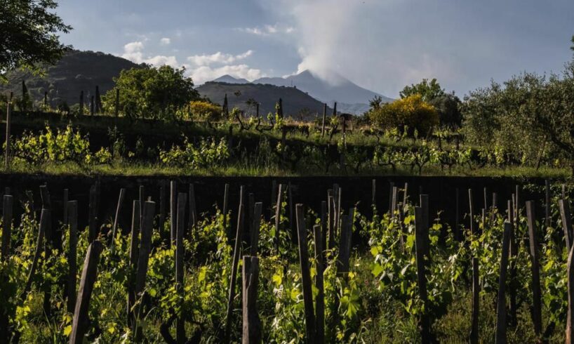 Al “Biancavilla Etna Wine Forum” i protagonisti del vino: dal 15 al 17 ottobre a Villa delle Favare