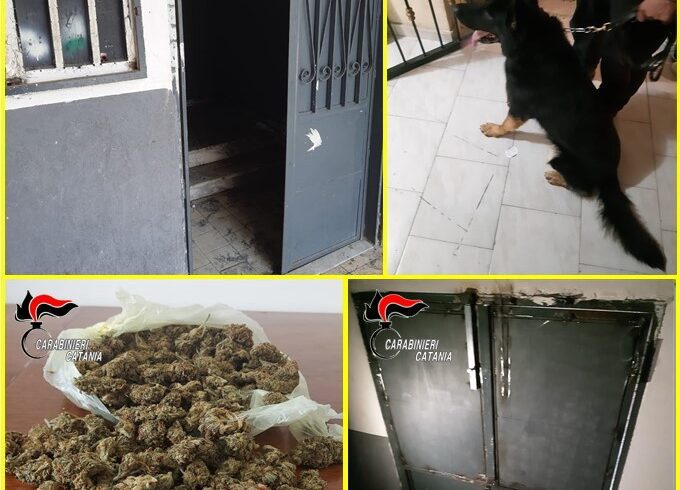 Catania, durante arresto pusher 55enne scoperti chiavistelli e citofoni contro le forze dell’ordine: in viale Nitta a Librino