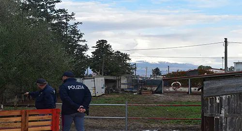 Catania, a due esponenti del clan Cappello sequestrati beni per 2,5 mln: nella lista villa, maneggio e rivendita di fiori al cimitero