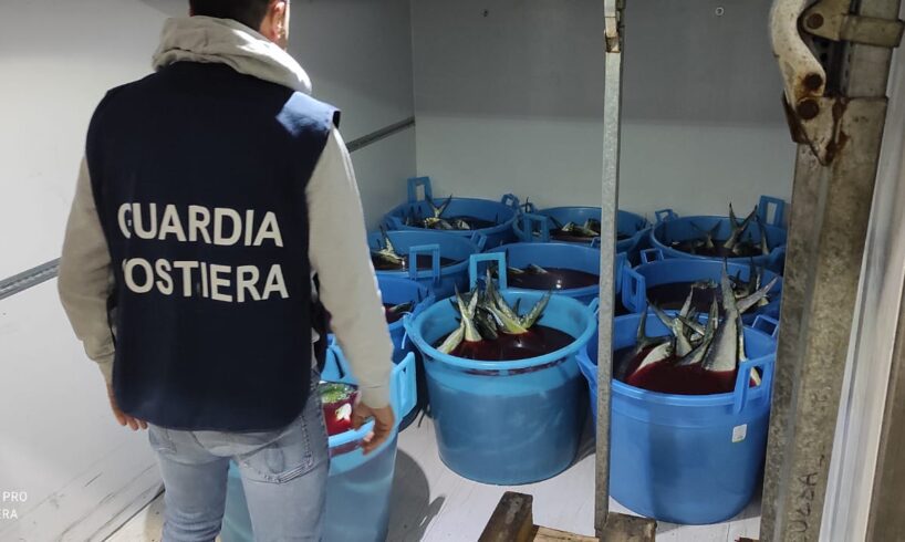 Catania, Guardia costiera sequestra 700 kg di caponi ‘non tracciabili’ al Maas: donati al Banco Alimentare