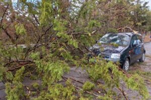 A18, albero si abbatte su due autovetture a causa del forte vento: 3 persone ferite