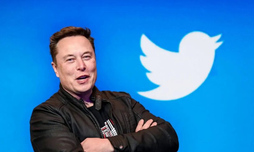 L’uccellino può morire, Musk mette in guardia i dipendenti di Twitter: “Il fallimento è una possibilità da non escludere”